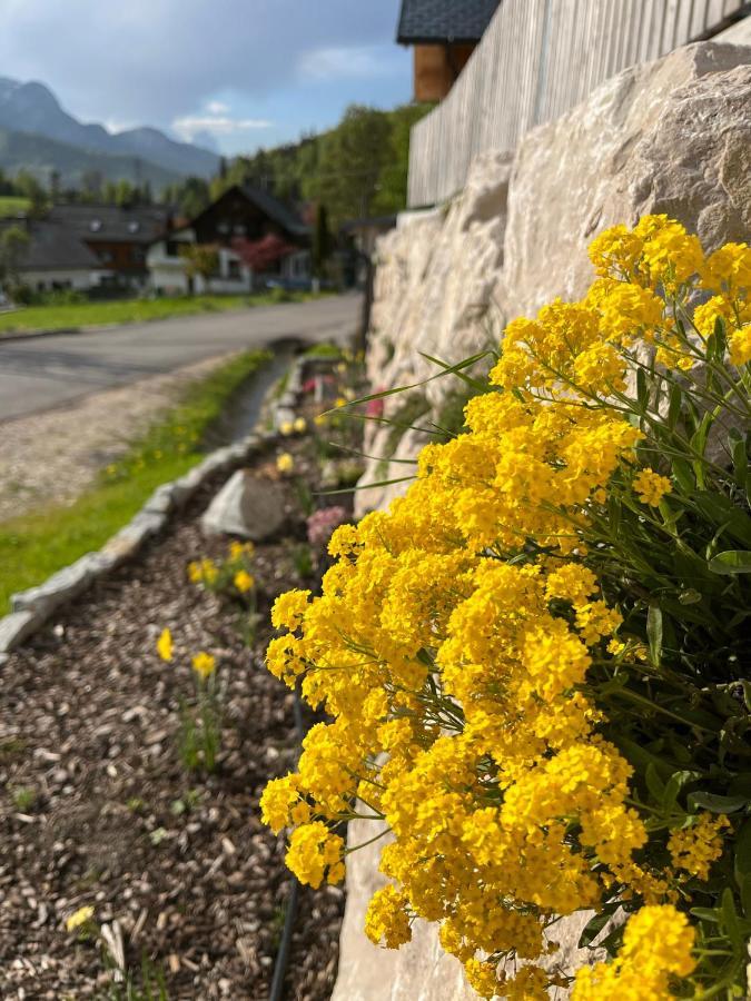 Ferienwohnungen Kalss Nahe Altaussee บาดเอาส์ซี ภายนอก รูปภาพ
